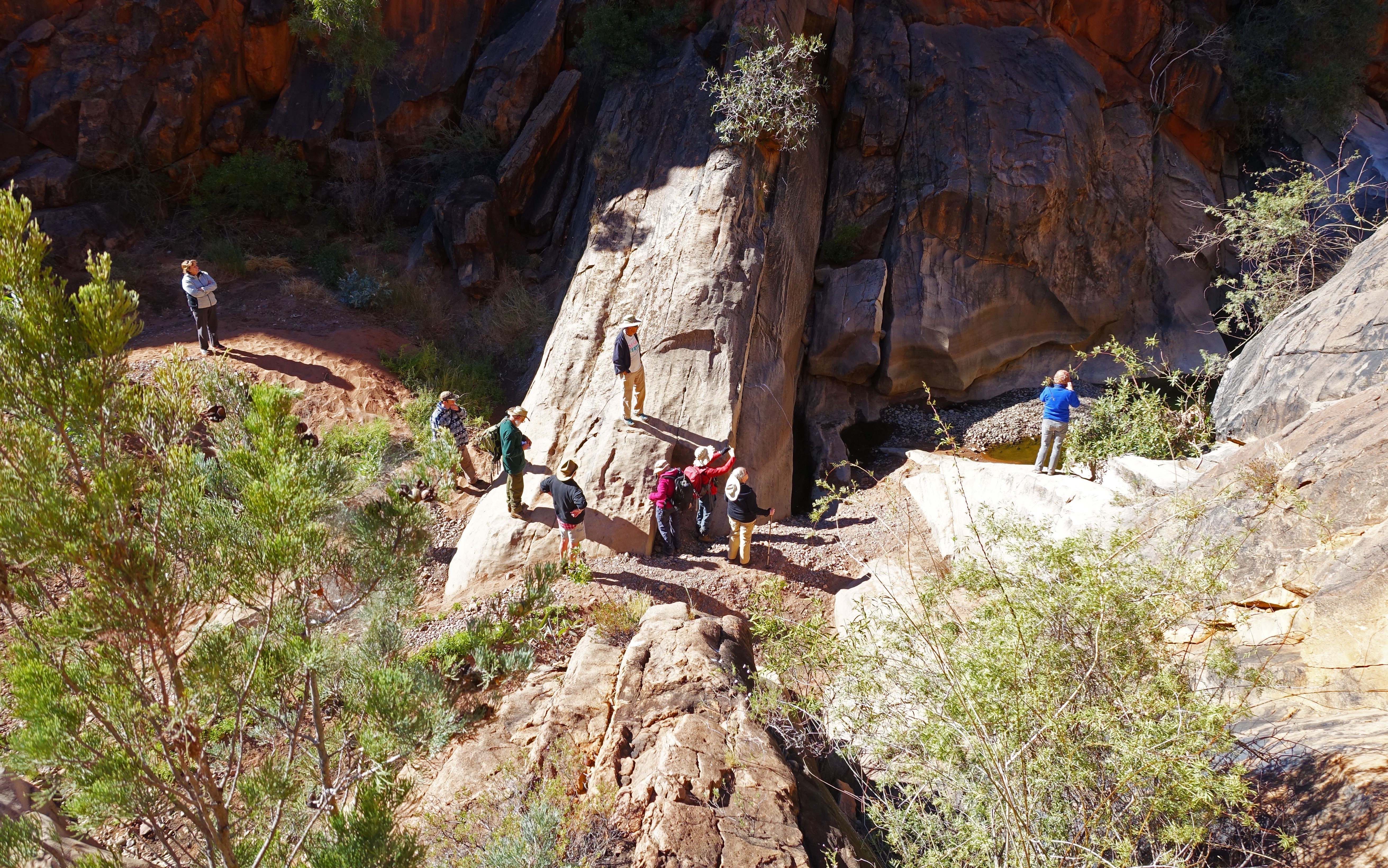 Alice Springs Field Naturalists at Roma Gorge